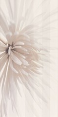Avangarde Flower White 29,7X60