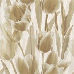 Dekor Coraline Panel Tulipany 60X60