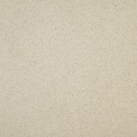 TAURUS GRANIT, TAA26061, dlaždice slinutá, 198x198x9, tmavě béžová