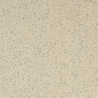 TAURUS GRANIT, TAA26062, dlaždice slinutá, 198x198x9, béžová