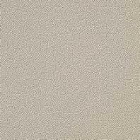 TAURUS GRANIT, TRM26061, dlaždice slinutá, 198x198x9, tmavě béžová